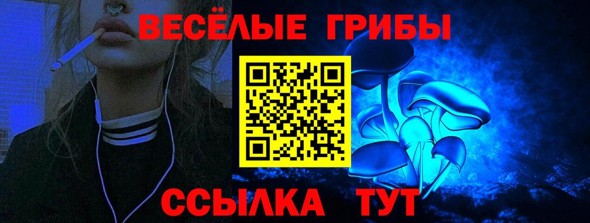 Галлюциногенные грибы MAGIC MUSHROOMS  Псилоцибиновые грибы MAGIC MUSHROOMS  Ярцево  Вход с VPN 