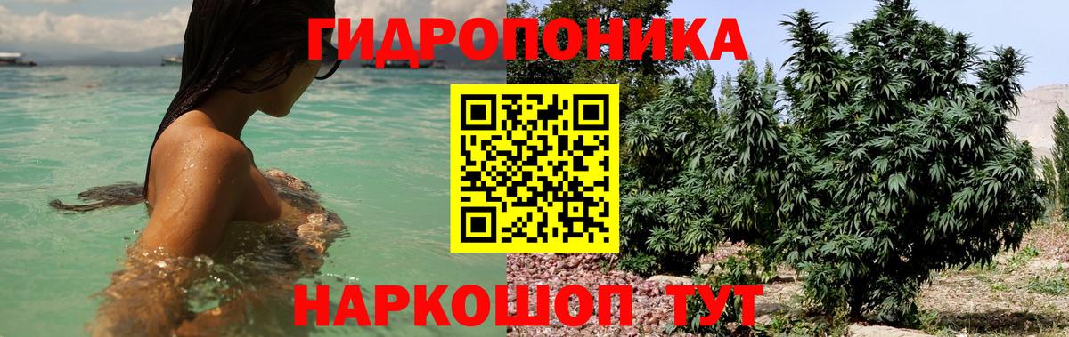 МАРИХУАНА конопля  Вход с VPN  Бошки Шишки Bruce Banner  Ярцево  Бошки Шишки OG Kush 